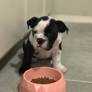 Meet your Posher, Carolynn